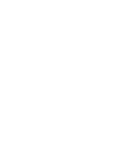 Casino Orca logo